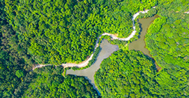 某某某項目宣傳視頻