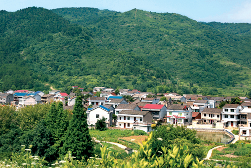鄂州市國有白雉山林場(chǎng)2019年重大林業(yè)有害生物防治