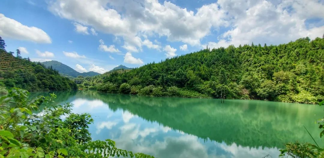 廣東省德慶林場(chǎng)2021年更新造林工程項目